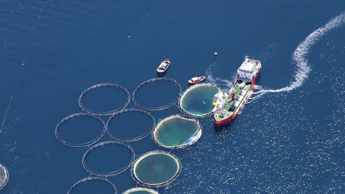 Marine aquaculture