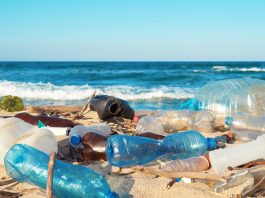 Microplastic contamination