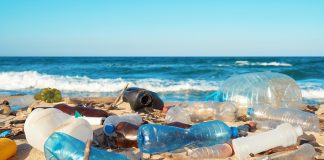 Microplastic contamination