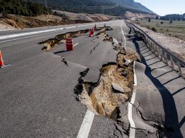 Supershear earthquakes