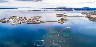 aquaculture tax