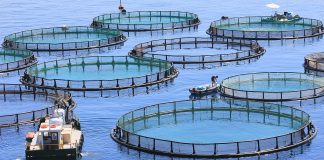fish farming