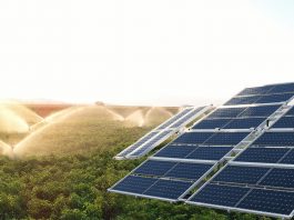 organic photovoltaics
