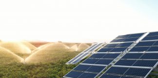 organic photovoltaics