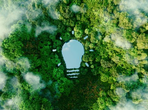 Environmental stewardship