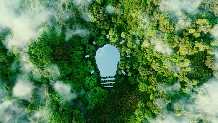 Environmental stewardship