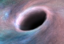 Black hole growth unveiled by Machine Learning black hole