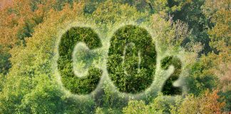 carbon sequestration