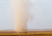Dust devils recorded on Mars for the first time dust devils