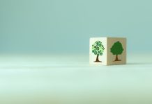 Carbon capture technology and the green frontier carbon capture technology