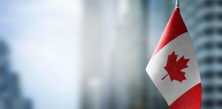 Critical Minerals Strategy