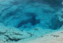 Hydrothermal vents are emitting harmful black carbon into our oceans hydrothermal vents