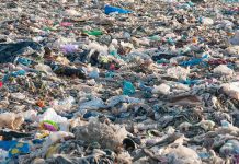 plastic waste