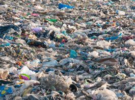 plastic waste