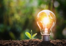 Embracing complexity in renewable resources enables a more sustainable chemical industry