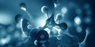 Enhancing and strengthening interdisciplinary nanomedicine research