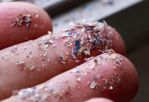 Why new rules are needed to stop microplastic pollution