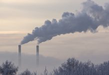 Wildlife conservation could mitigate climate change