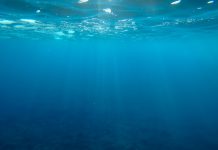 Underwater waves play an important role in oceanic carbon sequestration carbon sequestration ocean