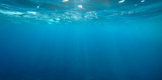 carbon sequestration ocean