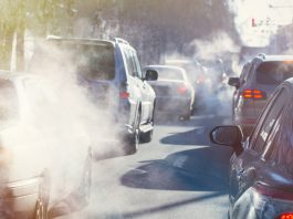 vehicle emissions standards