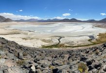 How will Chile nationalise its huge lithium industry?