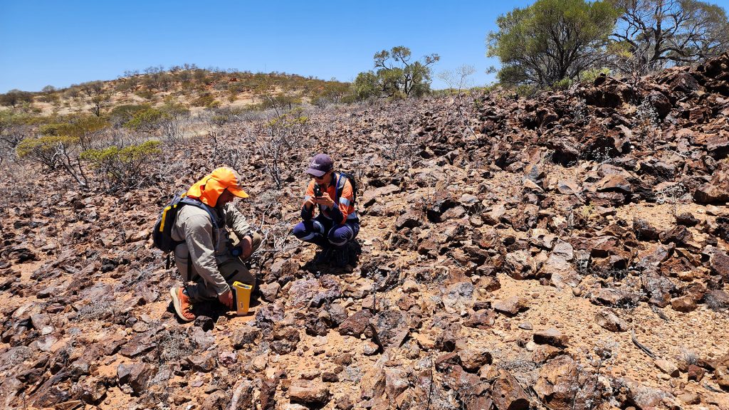 Earlystage exploration success in the search for rare earth elements