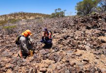 Early-stage exploration success in the search for rare earth elements rare earth elements