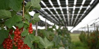 floating solar power