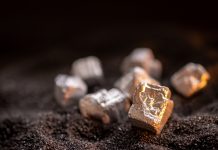 Carbonatite-hosted REE mineralisation in South Australia REE mineralisation