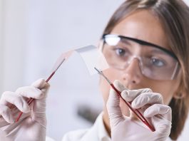 antimicrobial applications of graphene