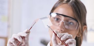 antimicrobial applications of graphene