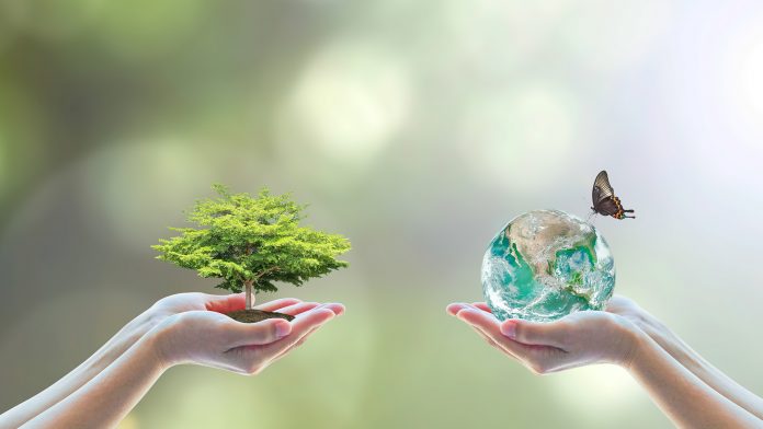 World biodiversity protection for sustainable ecological environment, and harmony living with nature concept