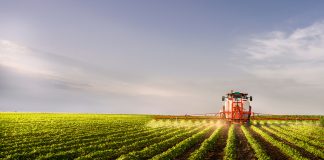 net-zero agriculture