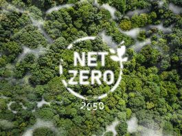 Net,Zero,2050,Carbon,Neutral,And,Net,Zero,Concept,Natural