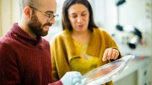 pursuing innovation in quantum technologies