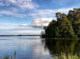 mercury emissions from industry are dispersed through the air and accumulates in watercourses, where it reaches both humans and animals