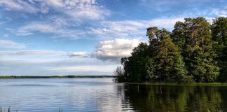 mercury emissions from industry are dispersed through the air and accumulates in watercourses, where it reaches both humans and animals