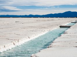 lithium exploration projects in Argentina