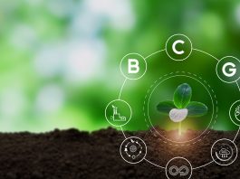Bio-circular-green,Economy,(bcg),Model.,Strategy,For,The,Sustainability,Of,Economy,
