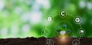 Bio-circular-green,Economy,(bcg),Model.,Strategy,For,The,Sustainability,Of,Economy,