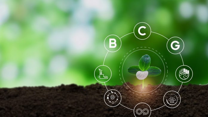 Bio-circular-green,Economy,(bcg),Model.,Strategy,For,The,Sustainability,Of,Economy,