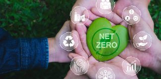 Net,Zero,And,Carbon,Neutral,Concept.,Hands,Adult,Teamwork,Harmony