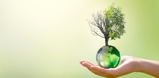 Earth,Day,Or,World,Environment,Day,,Combat,Desertification,And,Drought