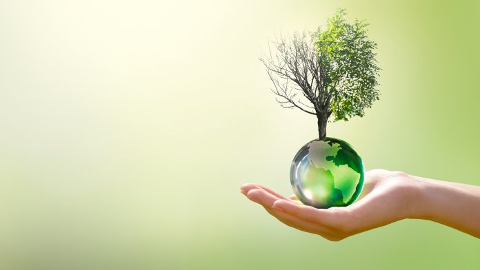 Earth,Day,Or,World,Environment,Day,,Combat,Desertification,And,Drought