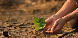 solutions to climate change