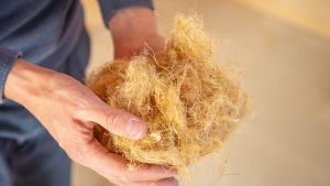 Hand,Of,A,Worker,Holding,Hemp,Wool,,An,Ecological,Insulation