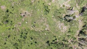 pulsar,helium,helium,projects,helium,supply