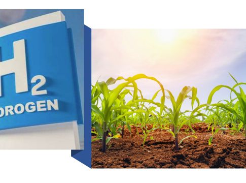 renewable,hydrogen,production,h2