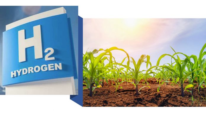 renewable,hydrogen,production,h2
